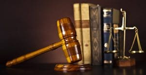 expert witness
