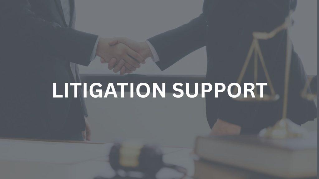 Litigation support
